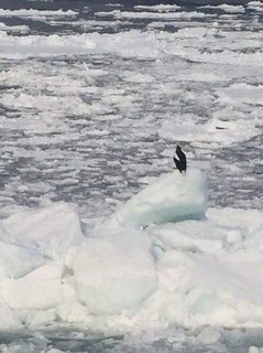 S__61530118.jpg